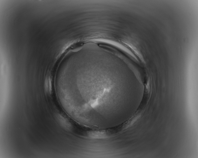 X0000086770110200704201812