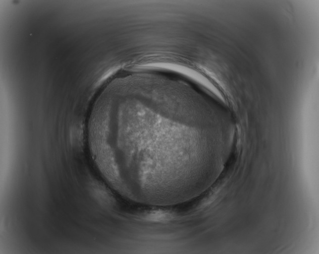 X0000086770111200704201812