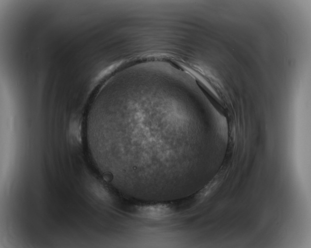 X0000086770112200704201812