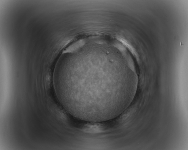 X0000086770113200704201812