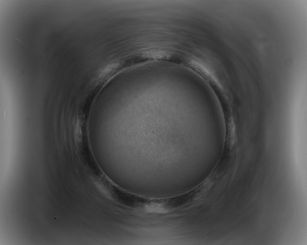 X0000086770114200704201812