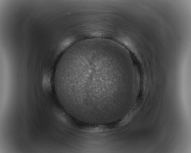 X0000086770116200704201812