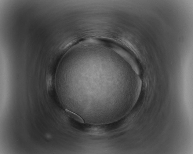 X0000086770117200704201812