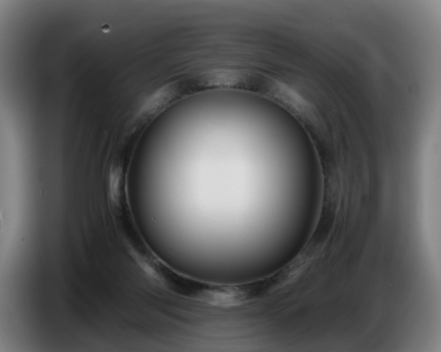 X0000086770118200704201812