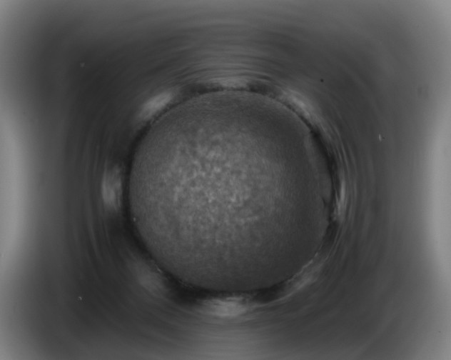 X0000086770120200704201812