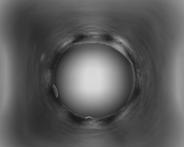 X0000086770121200704201812