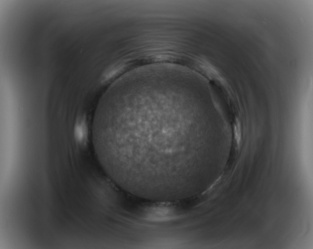 X0000086770124200704201812