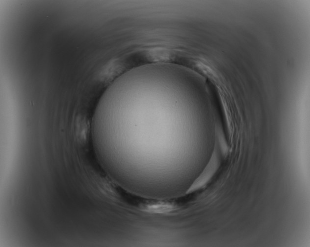 X0000086770125200704201812