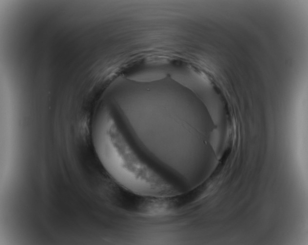 X0000086770127200704201812