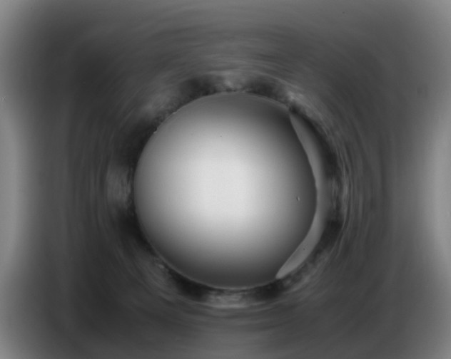 X0000086770129200704201812