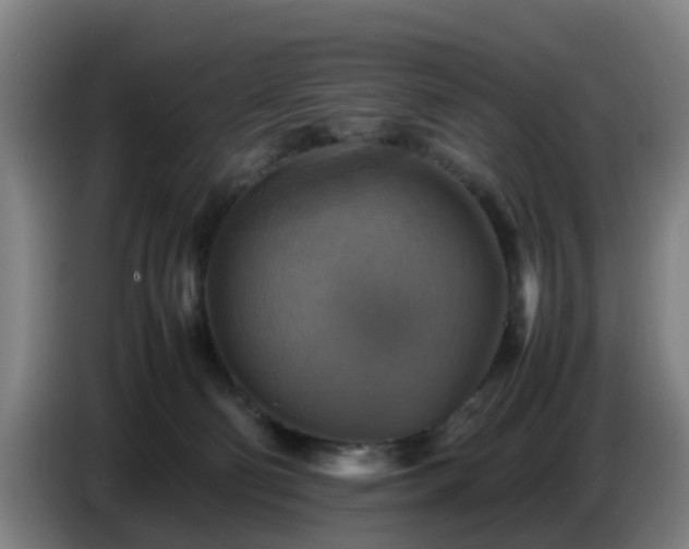 X0000086770130200704201812