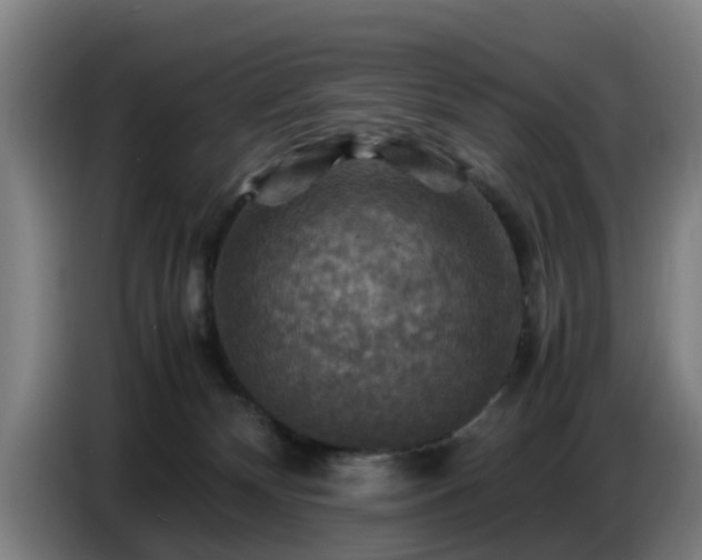 X0000086770132200704201812