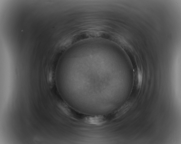 X0000086770134200704201812