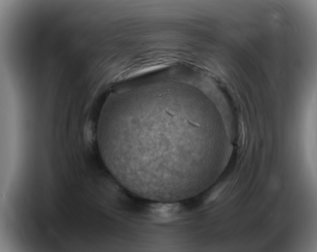 X0000086770135200704201812