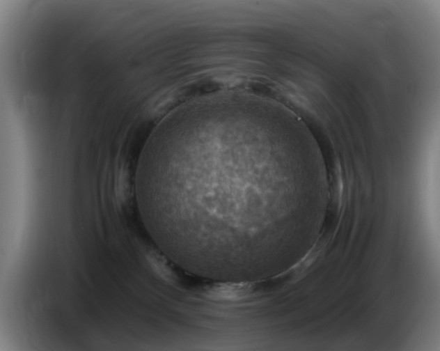 X0000086770136200704201812