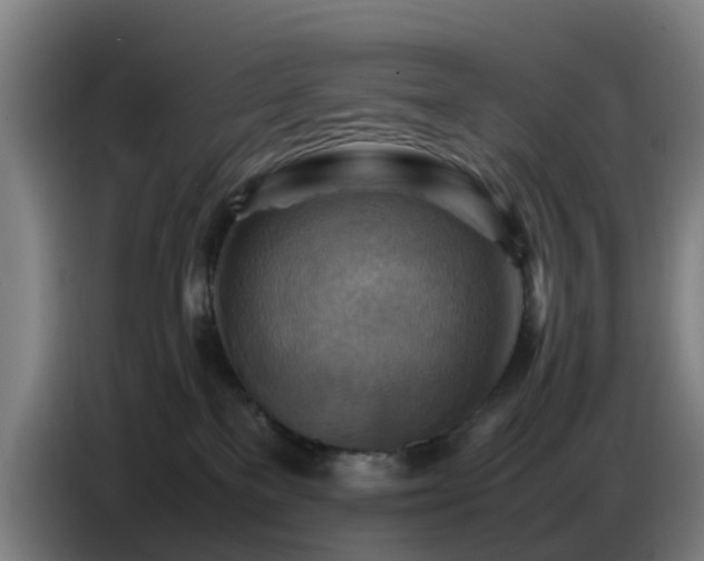 X0000086770137200704201812