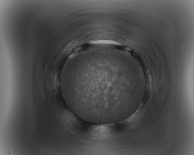 X0000086770140200704201812