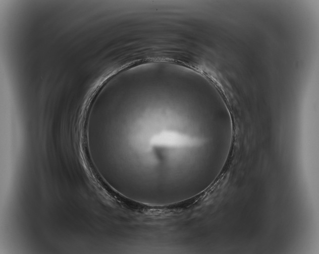 X0000086770145200704201811