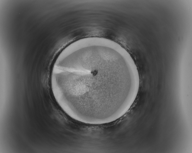X0000086770146200704201811