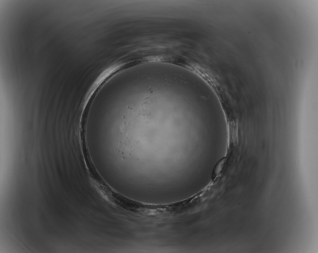 X0000086770147200704201811