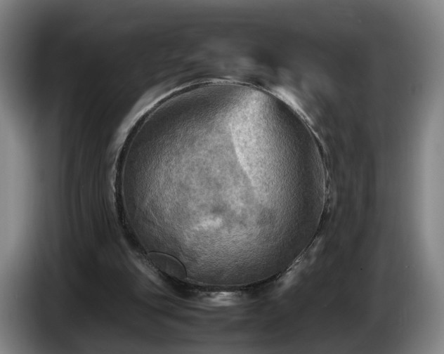 X0000086770151200704201811