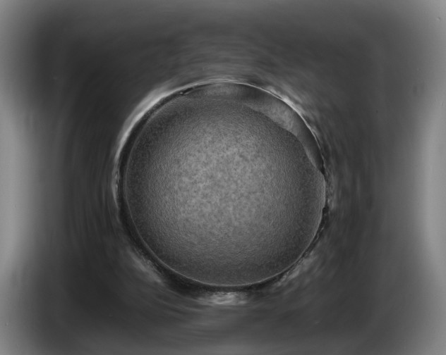 X0000086770152200704201811