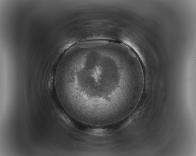 X0000086770153200704201811