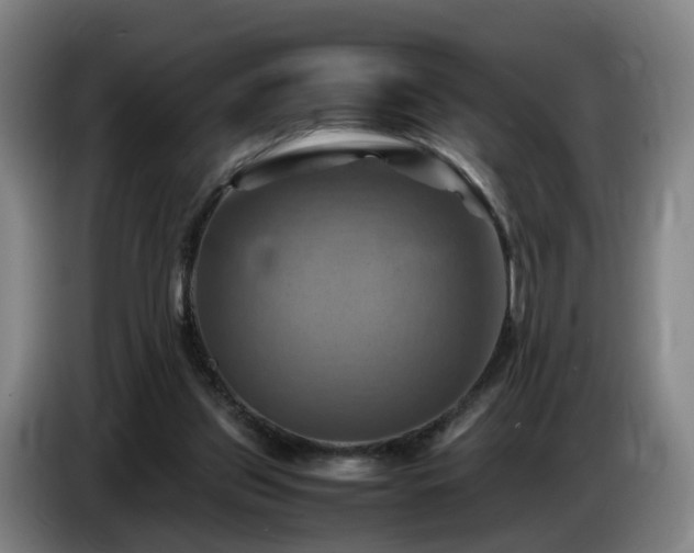 X0000086770157200704201811