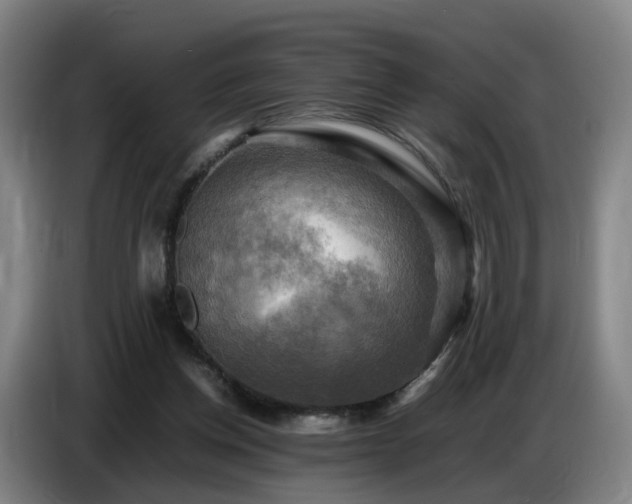 X0000086770158200704201811