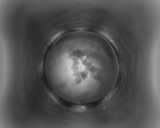X0000086770159200704201811