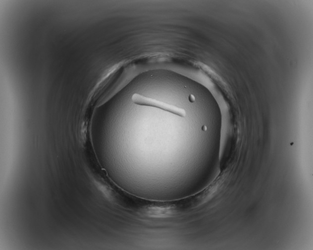 X0000086770160200704201811