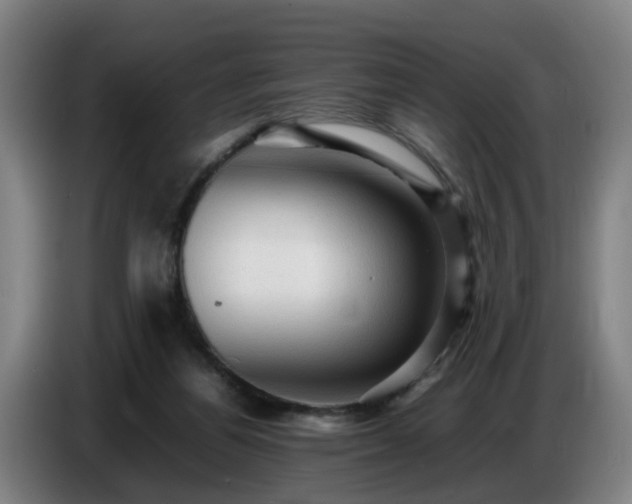 X0000086770164200704201811