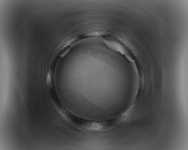 X0000086770166200704201811