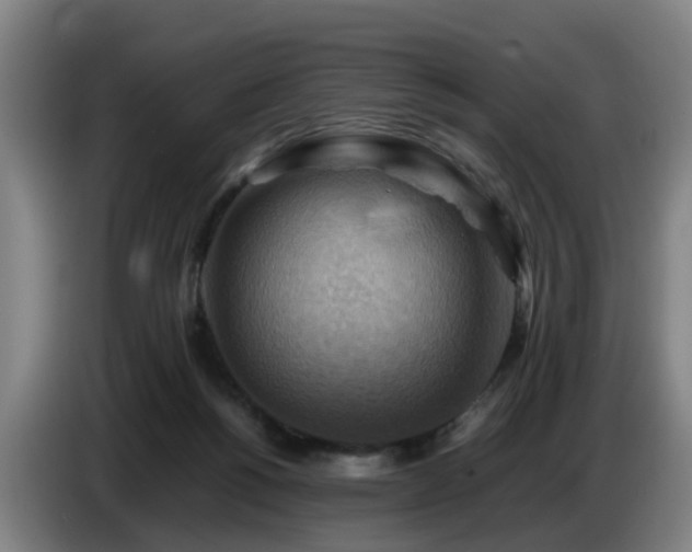 X0000086770168200704201811
