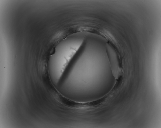 X0000086770169200704201811