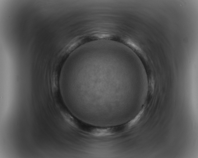 X0000086770170200704201811