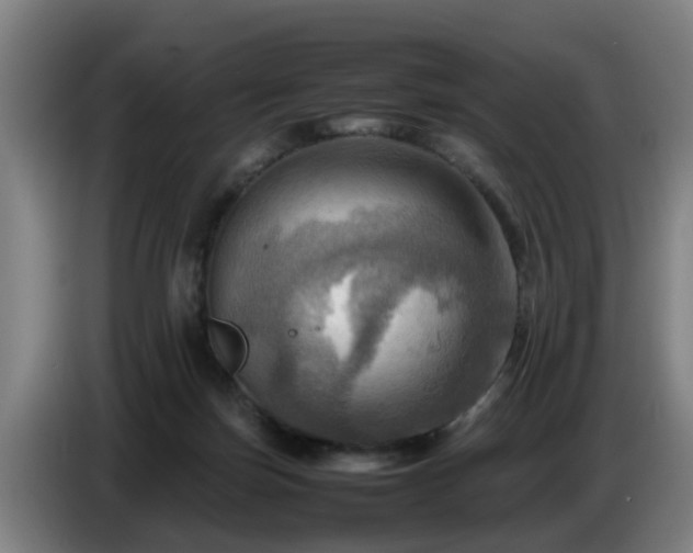 X0000086770171200704201811
