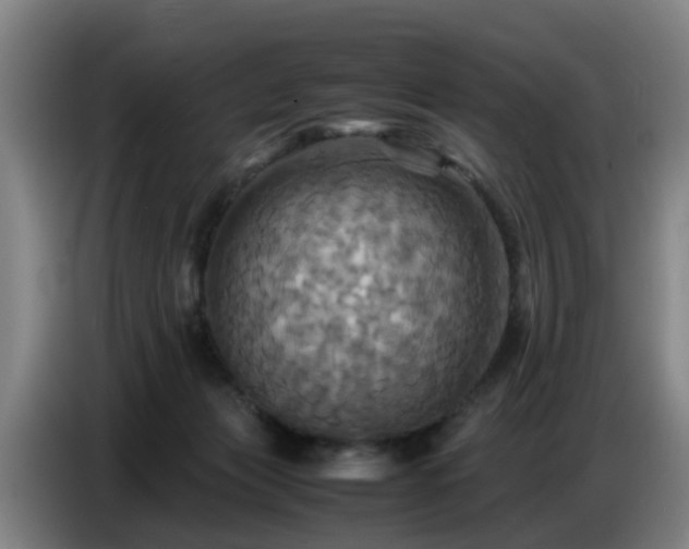 X0000086770173200704201811