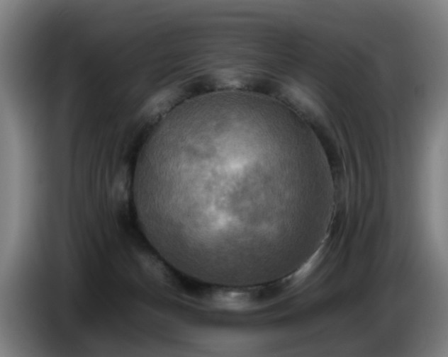 X0000086770174200704201811