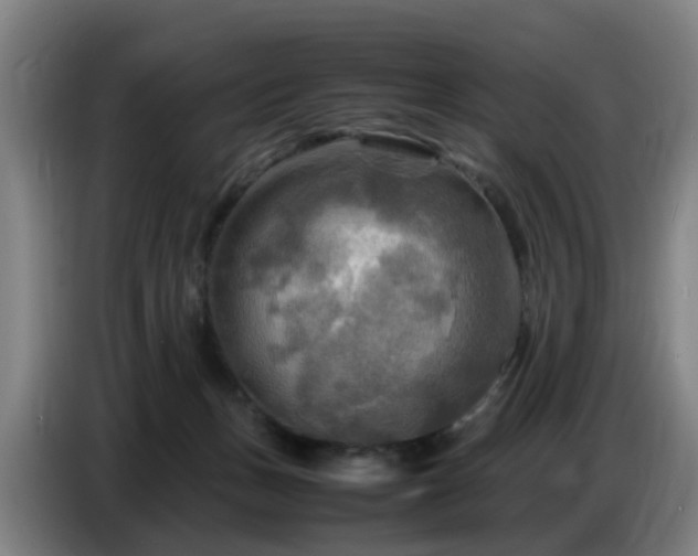 X0000086770175200704201811