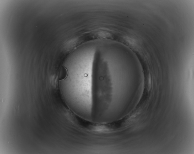 X0000086770177200704201812