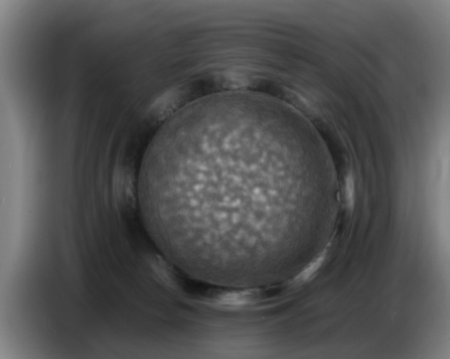 X0000086770178200704201812