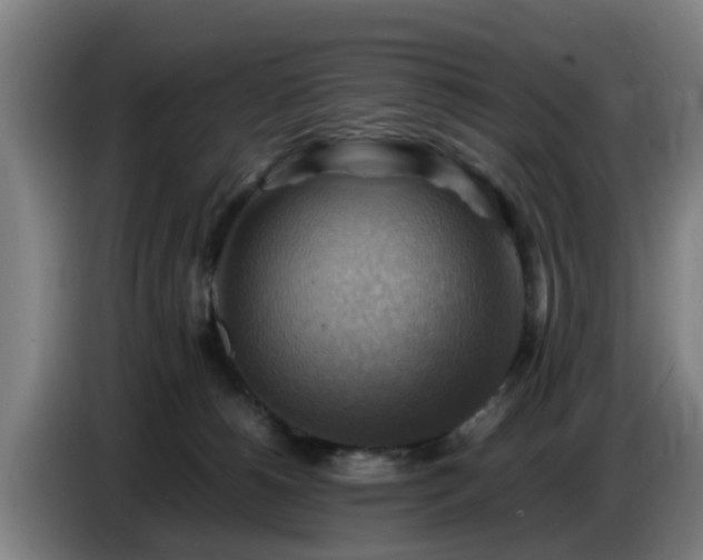 X0000086770180200704201812