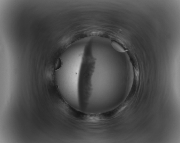 X0000086770181200704201812