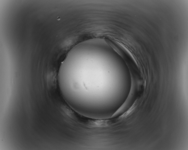 X0000086770184200704201812
