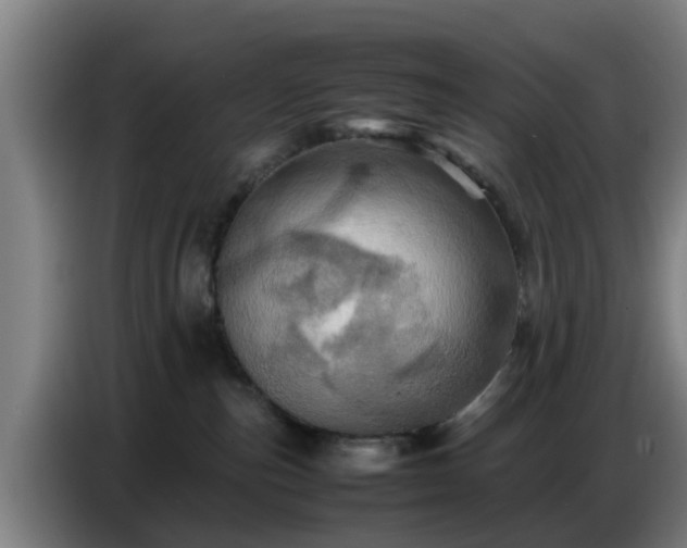 X0000086770187200704201812