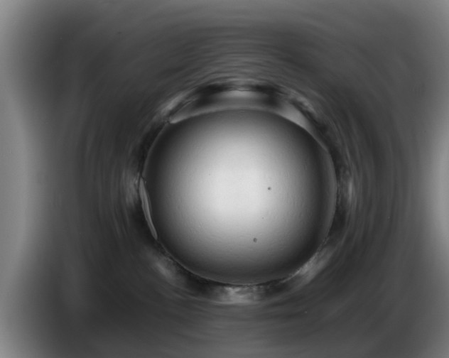 X0000086770188200704201812