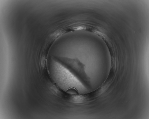 X0000086770189200704201812