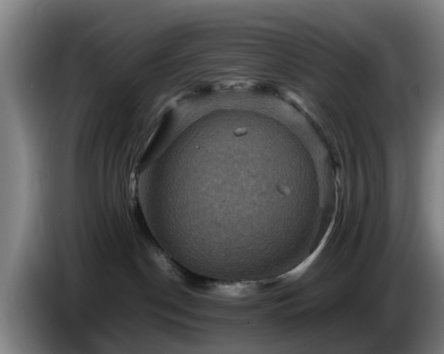 X0000086770190200704201812