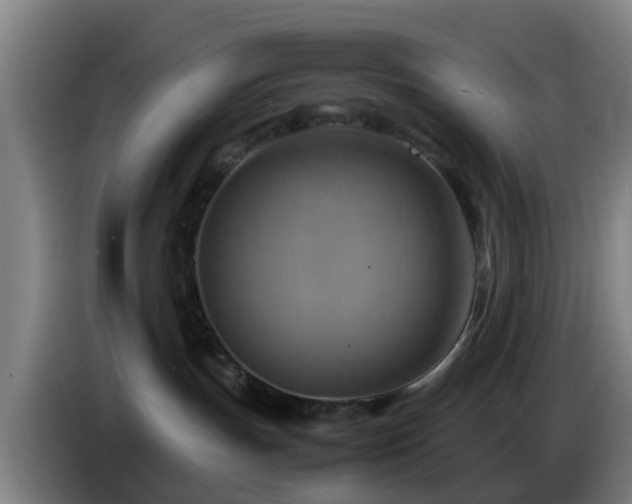 X0000086770191200704201812